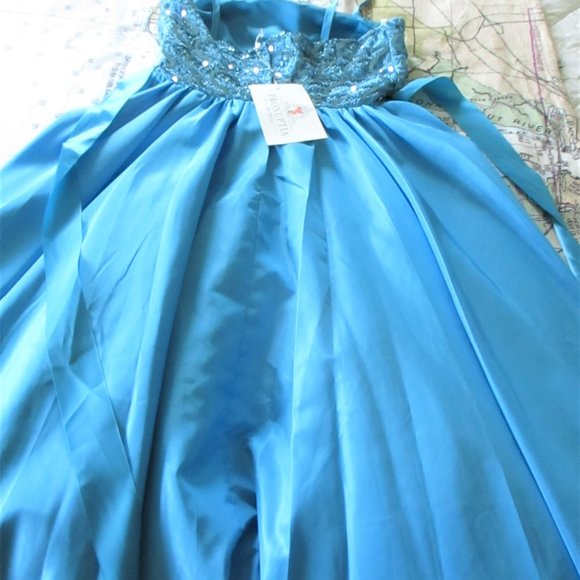 Gorgeous Blue Ball Gown - Picture 3 of 13